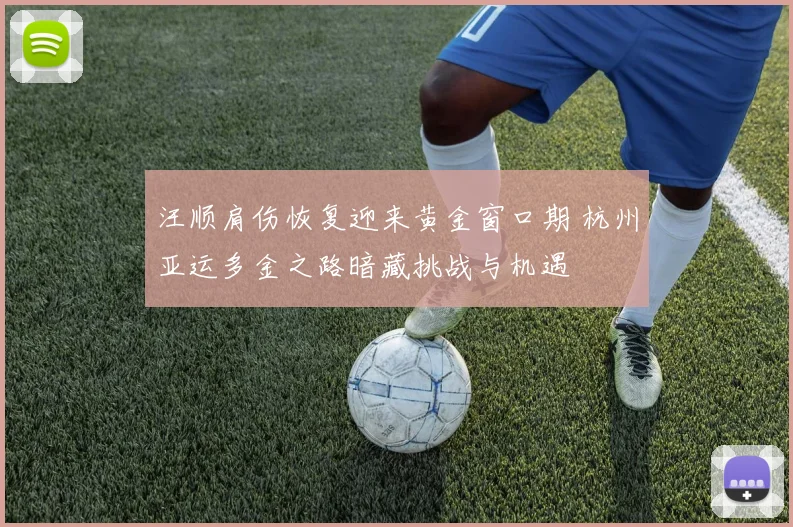 汪顺肩伤恢复迎来黄金窗口期 杭州亚运多金之路暗藏挑战与机遇