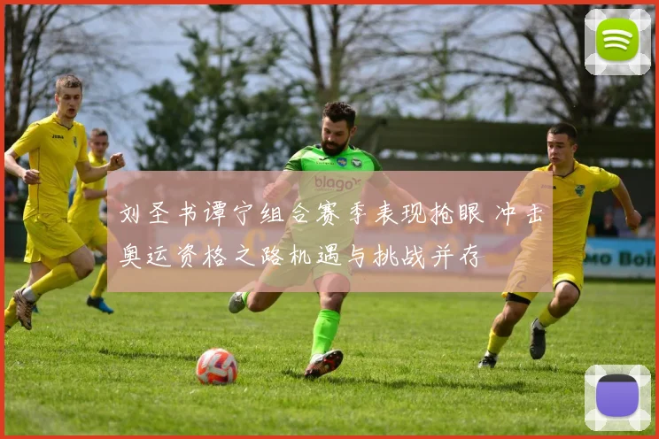 刘圣书谭宁组合赛季表现抢眼 冲击奥运资格之路机遇与挑战并存