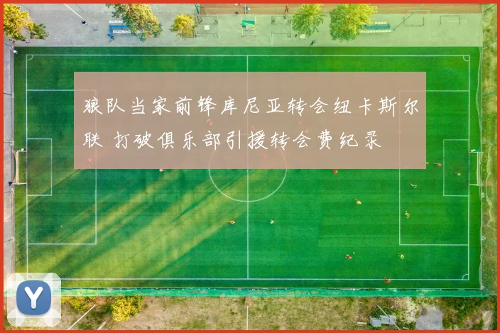 狼队当家前锋库尼亚转会纽卡斯尔联 打破俱乐部引援转会费纪录