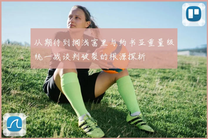 从期待到搁浅富里与约书亚重量级统一战谈判破裂的根源探析