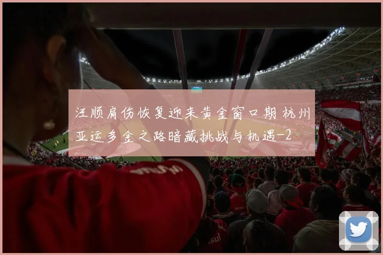 汪顺肩伤恢复迎来黄金窗口期 杭州亚运多金之路暗藏挑战与机遇