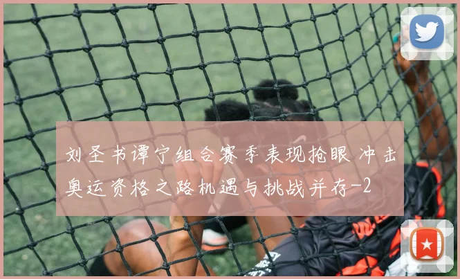 刘圣书谭宁组合赛季表现抢眼 冲击奥运资格之路机遇与挑战并存