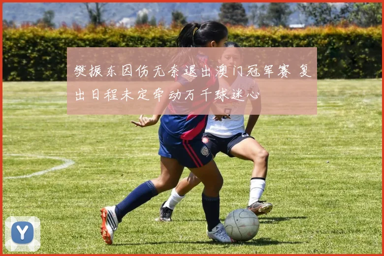 樊振东因伤无奈退出澳门冠军赛 复出日程未定牵动万千球迷心