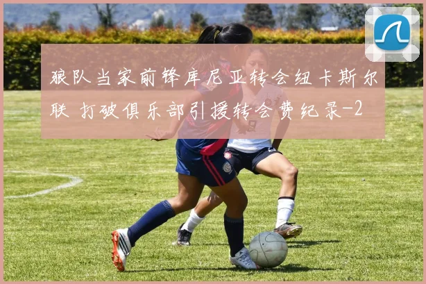 狼队当家前锋库尼亚转会纽卡斯尔联 打破俱乐部引援转会费纪录